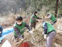 刈り取った茶草を集め裁断機にかけるようす