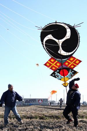 遠州横須賀凧「巴」を揚げる参加者の写真