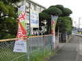 曽我小学校の校門横に並ぶのぼり旗の様子