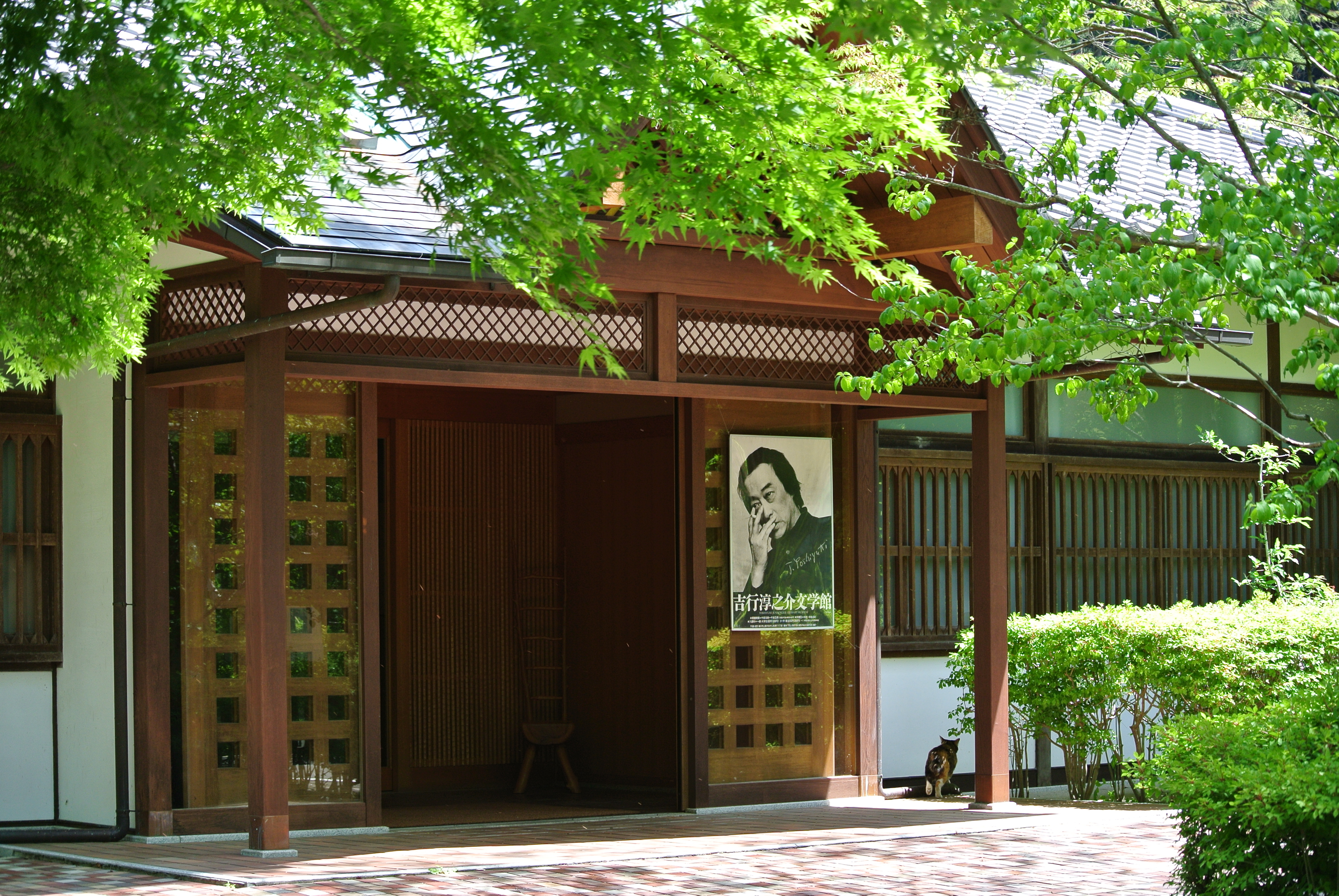 03nemunoki.JPG