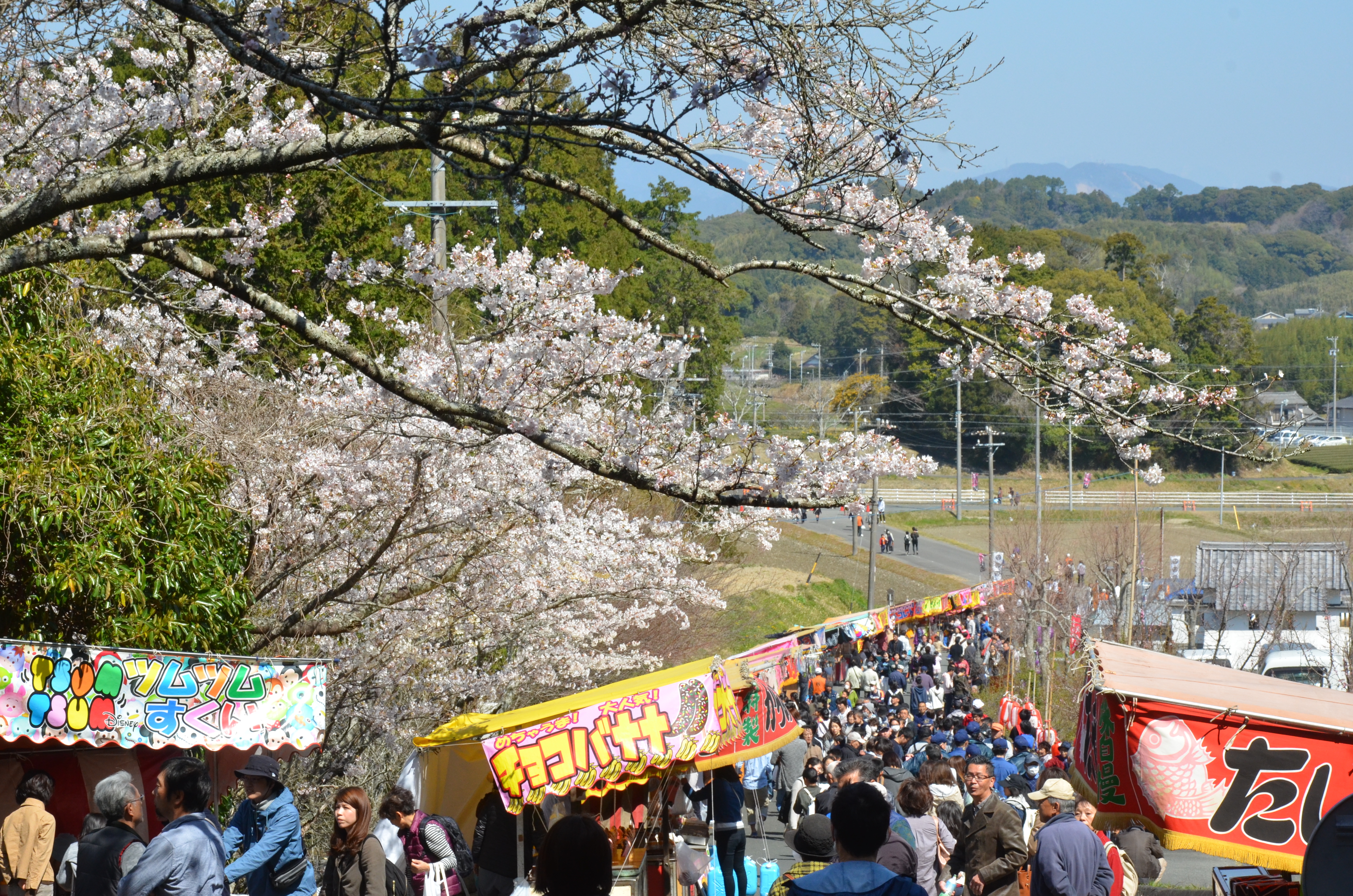 04takatenjin2018.JPG