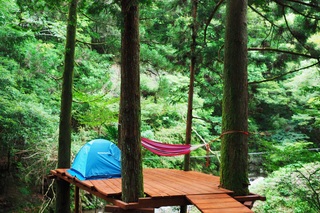 森の中に造られたウッドデッキサイトにテントとハンモックを設置している