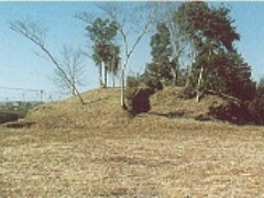行人塚古墳、側面から見た全体像。小高い丘に木がはえている様子。