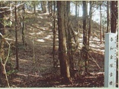 各和金塚古墳と記された石碑と林の中に墳丘が見える様子。