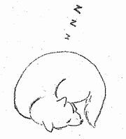 身体を丸めて眠る犬のイラスト