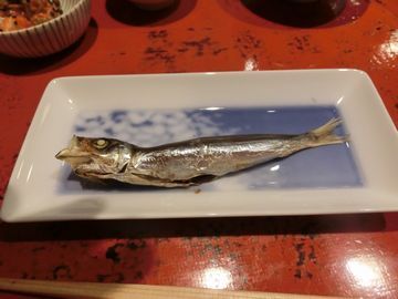 四角いお皿に盛られた一匹のメザシの写真