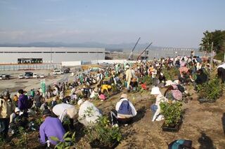 植樹をする参加者たちのようす