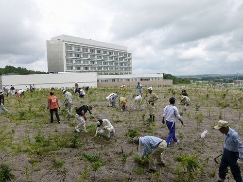 雑草を抜いたり下草を刈る市民や周辺企業の従業員たち