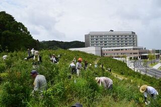 除草作業を行う市民や周辺企業の従業員たち