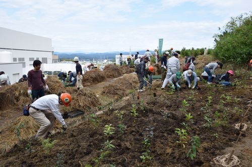 植樹されていない場所にイロハモミジやタブノキなどを植える市民や県内外からの参加者たち