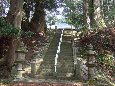 観音堂への石段の写真で、両脇に大きな木が植わっている