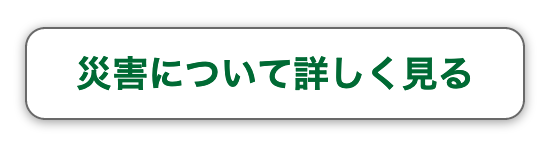 災害について詳しく見るについての画面